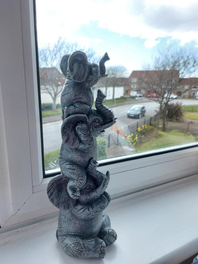 Teddy Bears' 3-Bedroom Maisonette Saltcoats Luaran gambar